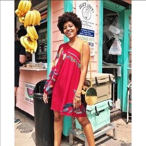 NWT Farm Rio Embroidered Silk Mini Dress S